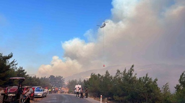 Çine'de Orman Yangınına Hava ve Karadan Müdahele