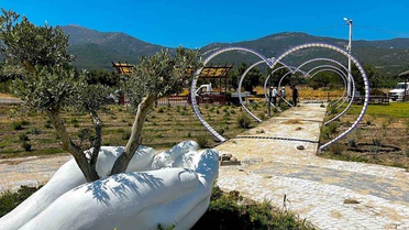 Fotoğraf tutkunları Söke’de lavanta bahçesine akın edecek