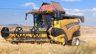 Kütahya'da Yerli Arpa Hasadı Yapıldı