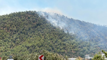 Mersin'de Orman Yangını: 80 Ev Tahliye Edildi
