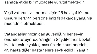 Muğla'da Orman Yangını: 408 Ev Boşaltıldı