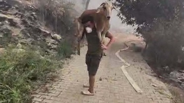 Keçisini Omzunda Taşıdı