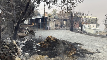 Muğla'da Orman Yangını: Ev ve Araçlar Yandı