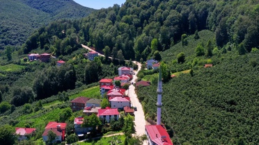 Ordu’nun kırsalında beton yol çalışmaları