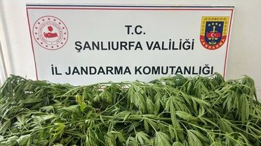 Suruç'ta Uyuşturucu Operasyonu: 1 Gözaltı