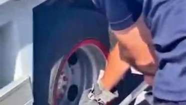 Elazığ'da Yavru Kedi Tekerlekten Kurtarıldı