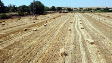 Tekirdağ'da Orman Yangınlarına Yasaklama
