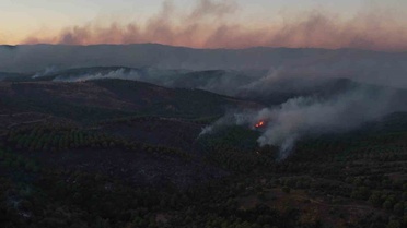 Tıfıllar Köyü’ndeki yangının boyutu gün ağırınca ortaya çıktı