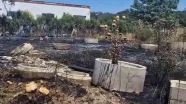 Enez'de Çalılık Yangını Vidanjörle Söndürüldü