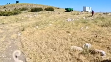 BASE Jump Atlayışı Sonrası Köpek Saldırısı