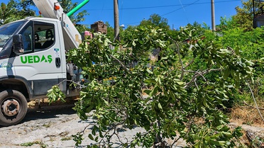 Ayvalık'ta Yelkenli Rüzgarla Karaya Vurdu