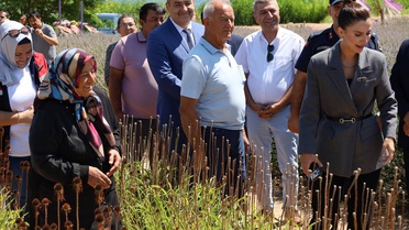 Kaymakam Yazıcıoğlu'ndan Lavanta ve Çilek Tarlası Ziyareti