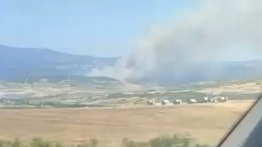 Susurluk'ta Orman Yangını Çıktı