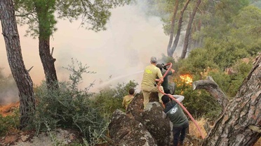 Çine yangınına müdahale ikinci günde sürüyor