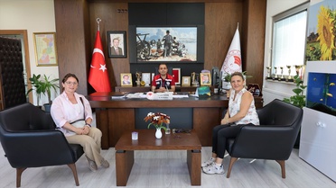 İpsala'da Şeftali Hasadı Başladı