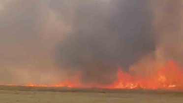 Nusaybin'de Anız Yangını Tır Kazasına Sebep Oldu