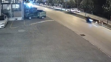 Motosikletlinin önüne bir anda çıktı: Zavallı hayvan olduğu yerde can verdi