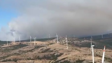 Susurluk'ta Orman Yangını