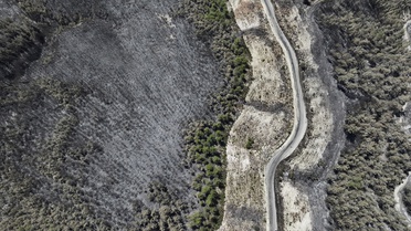 Muğla'daki Orman Yangını Hava Görüntüsüyle İfadeler
