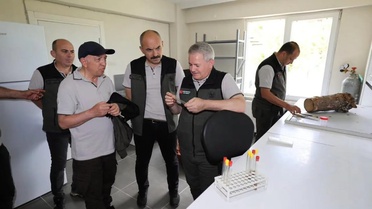 Orman Zararlılarıyla Mücadele İçin Sinop'ta Ziyaret