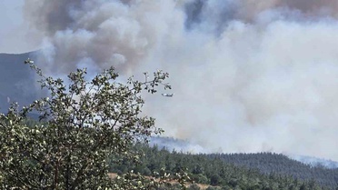 Balıkesir'de Yangınla Mücadele Sürüyor