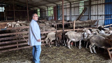 Süt kalitesi ve hayvan sağlığı güvence altında