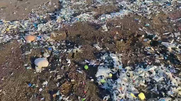 Plastik Atık İthalatı Durdurulmalı
