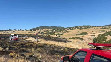 Anız yangını ormanlık alana sıçramadan söndürüldü