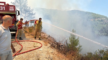 Alanya'da Orman Yangını: 5 Dönüm Zarar Gördü