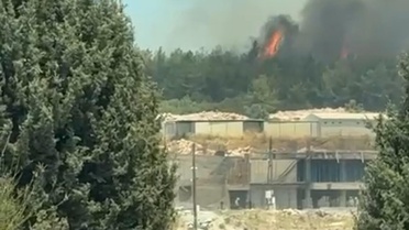 İzmir Buca'da Orman Yangını