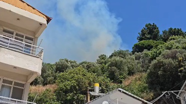 Marmara Adası'nda Orman Yangını