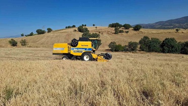 Sarıgöl'de Hasat Sezonu Gecikti