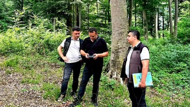 Sinop'ta Doğal Gençleştirme Çalışmaları