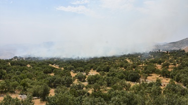 Şırnak'ta Yangın Ormana Sıçradı