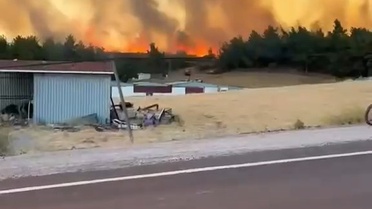 Bayramiç'te Orman Yangınına Müdahale
