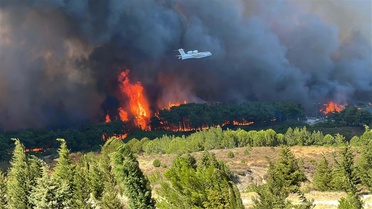 Çanakkale'de duyarlılık arttı, orman yangınında düşüş yaşandı