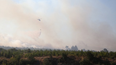 Çanakkale'de Orman Yangını