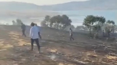Silvan'da ağaçlık alanda yangın
