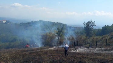 Düzce'de Fındık Bahçesinde Yangın