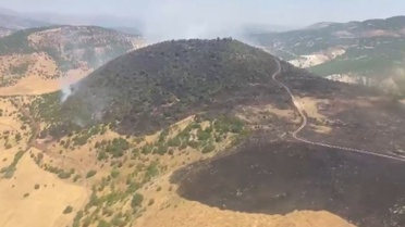 Elazığ'da Orman Yangını Kontrol Altına Alındı