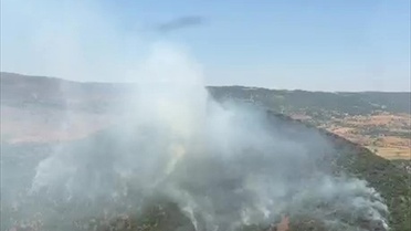 Elazığ'da Orman Yangını Söndürüldü