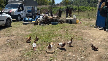 Fındık Hasadı Öncesi Mevsimlik İşçiler Alaplı'da