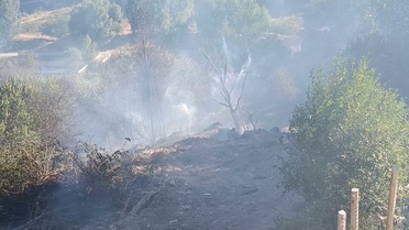 Malatya Darende'de bahçede çıkan yangın yurttaşların da desteğiyle kontrol altına alındı