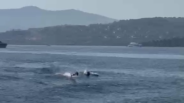 Bodrum'da Yunus Şöleni