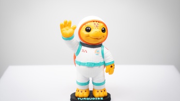 Caretta Caretta IAC 2026'nın Maskotu