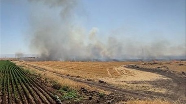 Diyarbakır'da Anız Yangını Kontrol Altına Alındı