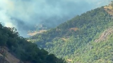 Tunceli'de Orman Yangınına Müdahale