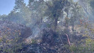 Siirt'te Orman Yangını Kontrol Altına Alındı