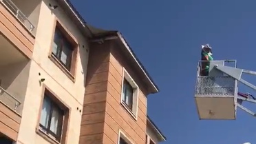 Yüksekova'da Mahsur Kalan Güvercin Kurtarıldı