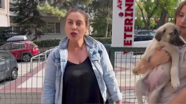 Gülay Akgün Mutlu’nun Kardeşi Gözaltına Alındı